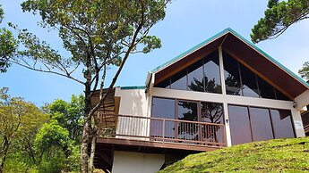 Green Forest Vacations Homes