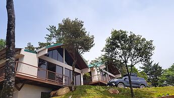 Green Forest Vacations Homes