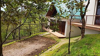 Green Forest Vacations Homes