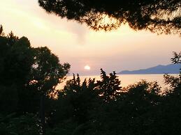 Il Sogno di Vincenzo e Maria