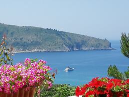 Il Sogno di Vincenzo e Maria