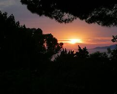 Il Sogno di Vincenzo e Maria