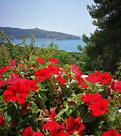 Il Sogno di Vincenzo e Maria