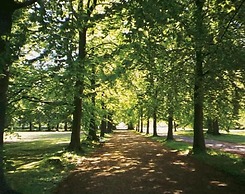 Bäckaskog Slott