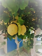 Bed & Breakfast da Gi & Giò