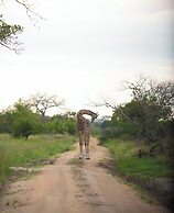 Tanganyika Coastal Campsite