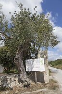 Camping Fiori di Noto