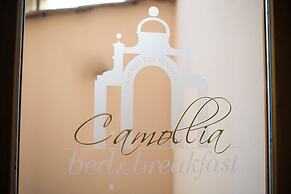 B&B Camollia