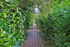 Three Islands Bungalow