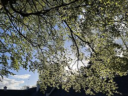 South Craighall Bed & Breakfast