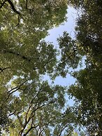 South Craighall Bed & Breakfast