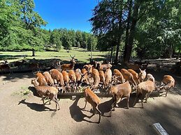 Hotel Cumbres de Pucón