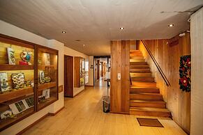 Hotel Cumbres de Pucón