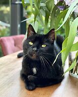 Amsterdam B&B Barangay