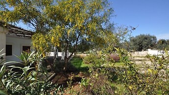 Villetta Certosina II