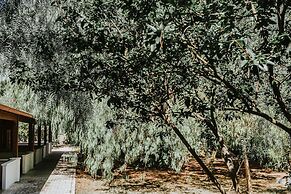 Centro Vacanze Mulino D'Acqua