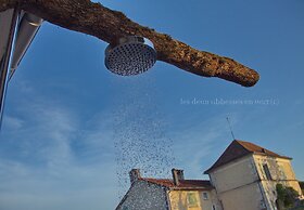 Les Deux Abbesses en Vert