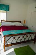 Seas the Day Sanctuary Little Bay