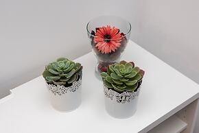 The York Boutique Suites