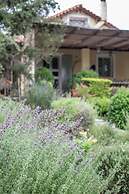 Beautiful mini eco farmhouse