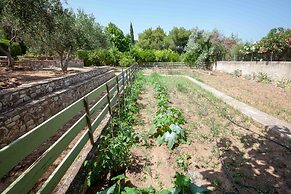 Beautiful mini eco farmhouse