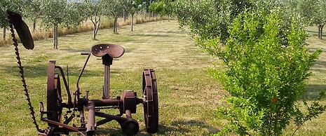 Agriturismo Le Sorgenti