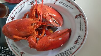 Mamas by the sea B&B