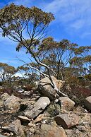 Snug Beach Cabin And Caravan Park