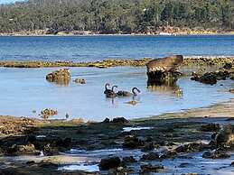 Snug Beach Cabin And Caravan Park