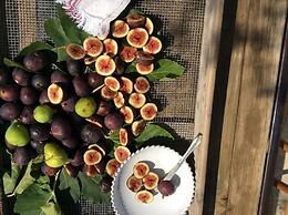 Masseria Spartivento