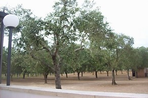 B&B Otranto Le Sancinare