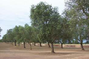 B&B Otranto Le Sancinare