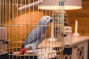 Eco-hotel Izumrudniy les