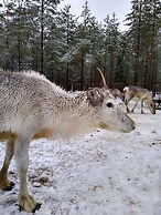 Arctic Guesthouse & Igloos