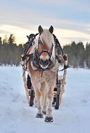 Arctic Guesthouse & Igloos
