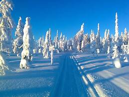 Arctic Guesthouse & Igloos