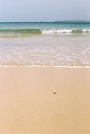 Trevose Harbour House