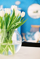 Trevose Harbour House