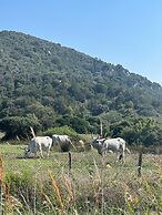 Camping Maremma Sans Souci