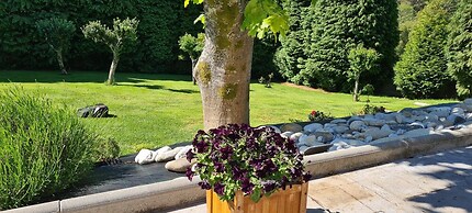 Casa Chelo Alojamientos