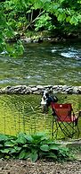 Bear Creek Lodge and Cabins in Helen Ga - Pet Friendly, River on Prope