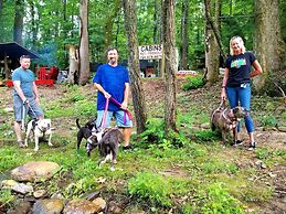 Bear Creek Lodge and Cabins in Helen Ga - Pet Friendly, River on Prope