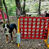 Bear Creek Lodge and Cabins in Helen Ga - Pet Friendly, River on Prope