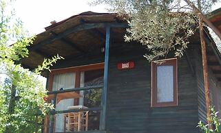 Nuri's Beach Bungalow