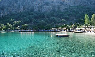 Nuri's Beach Bungalow