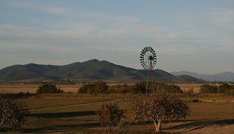 Vento di Maremma