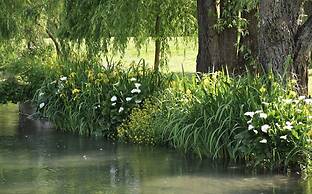 La Finestra Sul Fiume