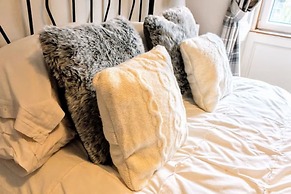 Cosy & Modern Apartment in Central Edinburgh