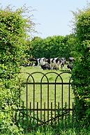 La Ferme Aux Charmes
