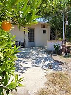 Farm House in Bio Orange Plantation